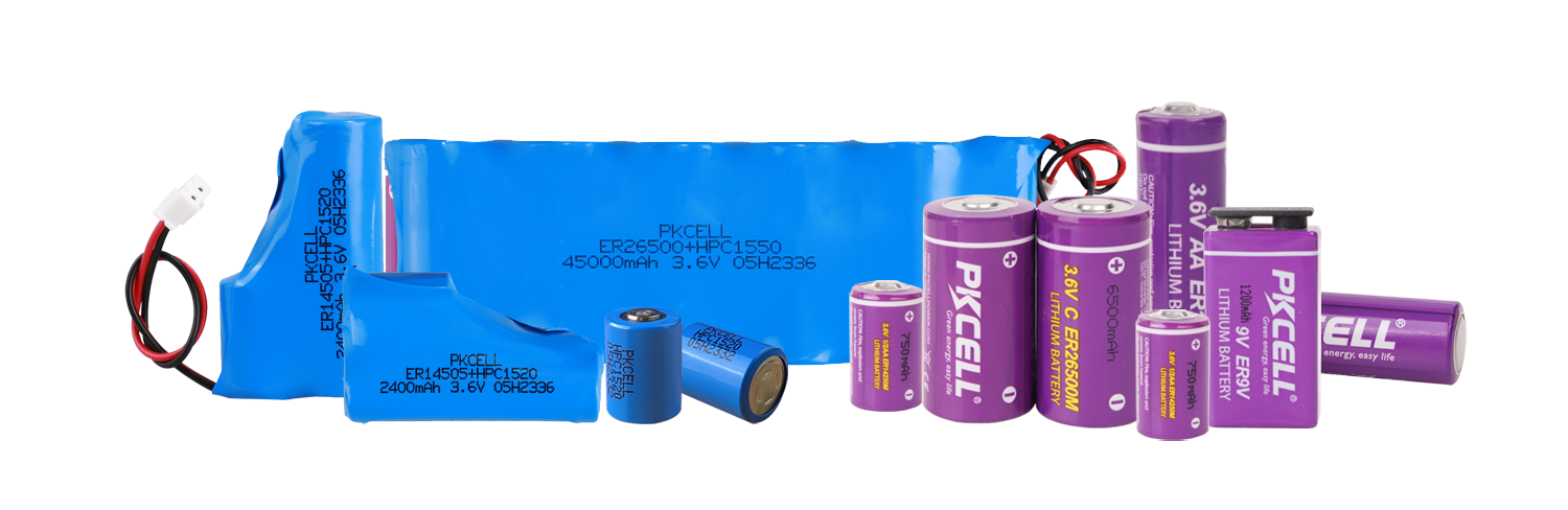 IoT Battery Pack (ER+HPC)
