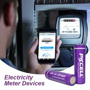 https://www.pkcellpower.com/pkcell-li-socl2-aa-3-6v-2400mah-er14505-lithium-battery-for-alarm-gps-tracker-product/