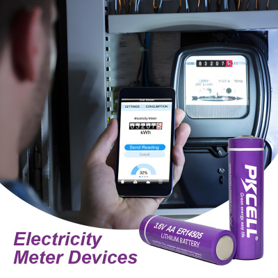 PKCell LiSoCl2 Battery for Electricity Meter Devices