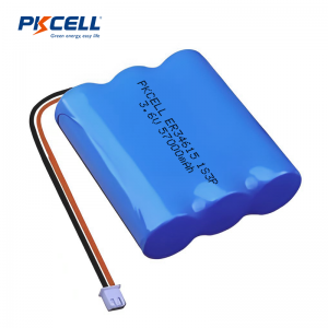 pkcell er34615 battery pack