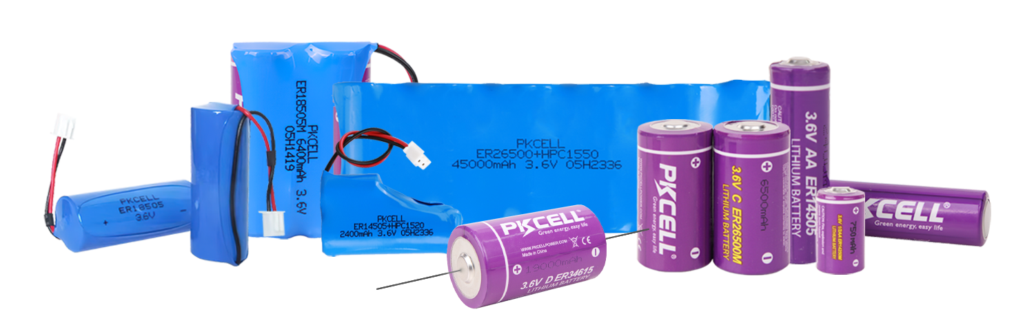 ER-battery-and-battery-pack