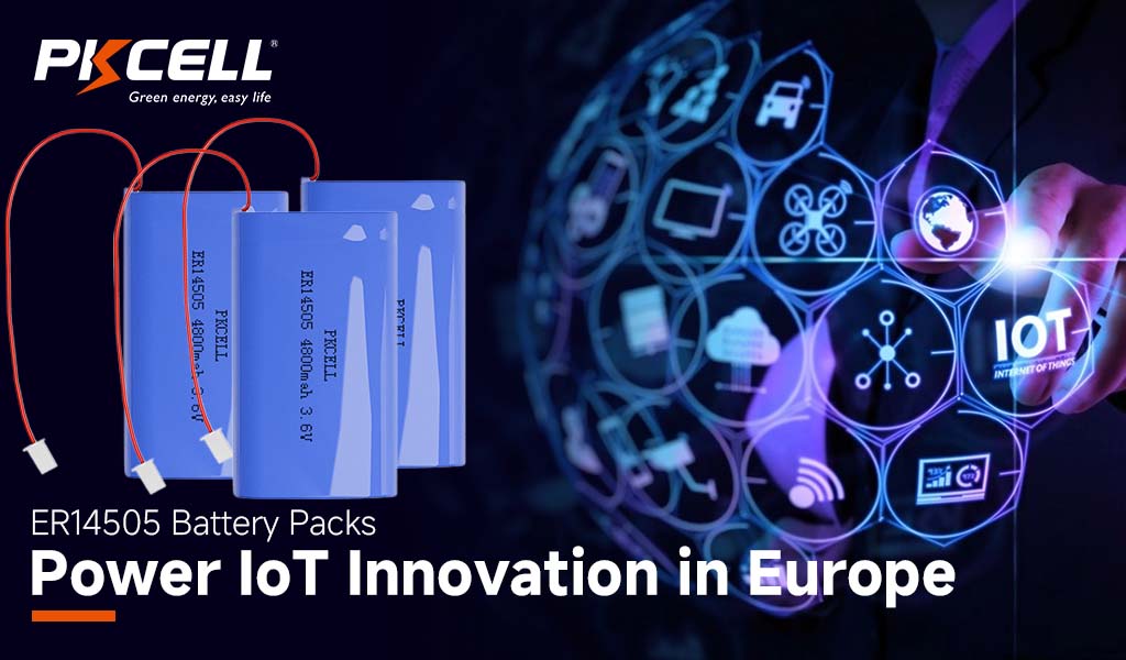 ER14505 Battery Packs Power IoT Innovation