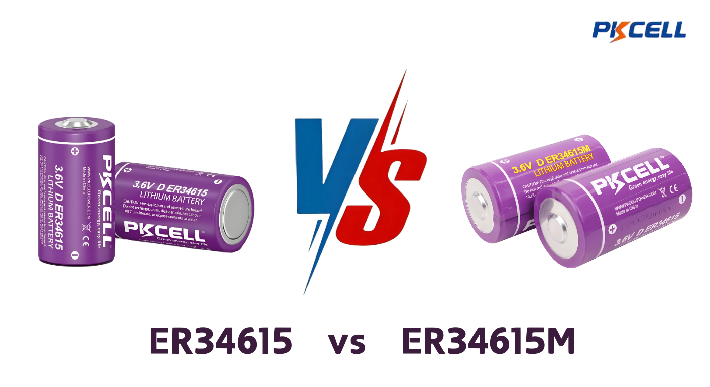 ER34615 VS ER34615M: Quelle batterie vous convient?