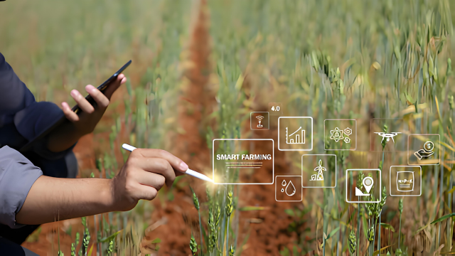 Smart agriculture uses IoT devices to monitor soil moisture, temperature, and weather. Li-SOCl₂ batteries are a great choice as they perform efficiently in extreme temperatures.